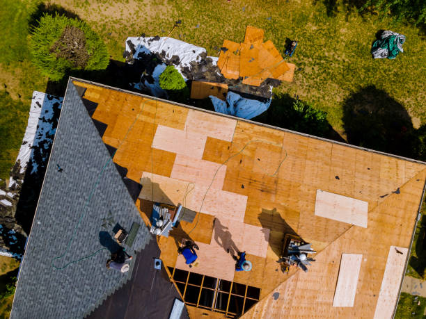 Quick and Trustworthy Emergency Roof Repair Services in Hargill, TX