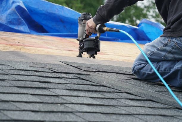 Best Roof Gutter Cleaning  in Hargill, TX